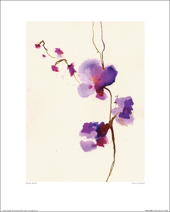 Summer Thornton (Velvet Orchid) Art Print