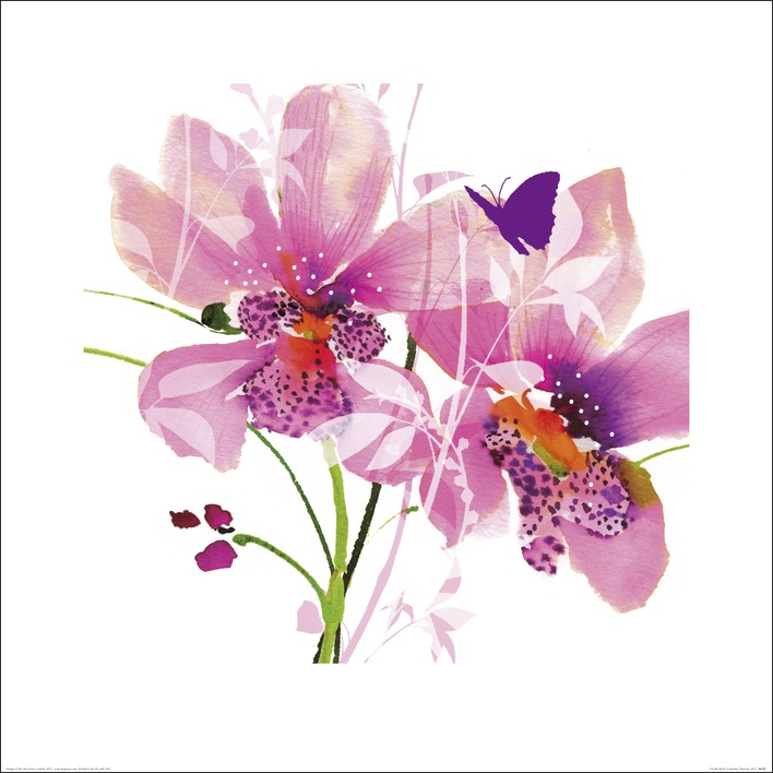 Summer Thornton (Orchid Blush) Art Print