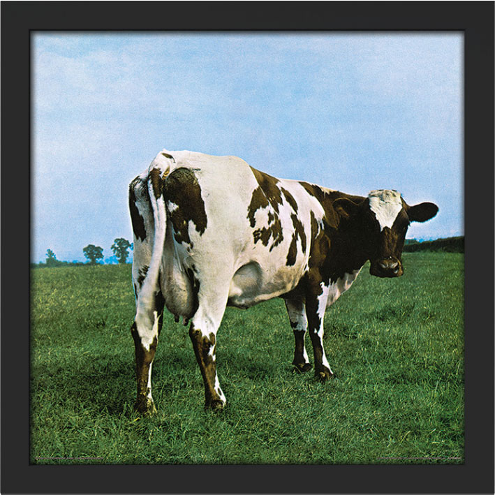 Pink Floyd (Atom Heart Mother) Album Cover Framed Print