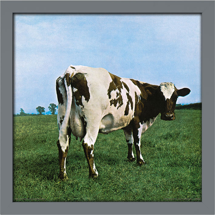 Pink Floyd (Atom Heart Mother) Album Cover Framed Print