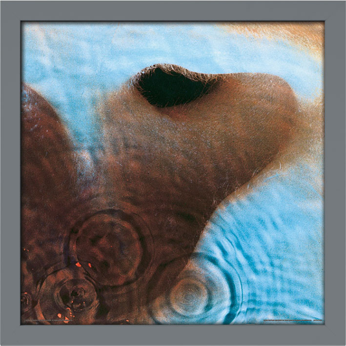 Pink Floyd (Meddle) Album Cover Framed Print