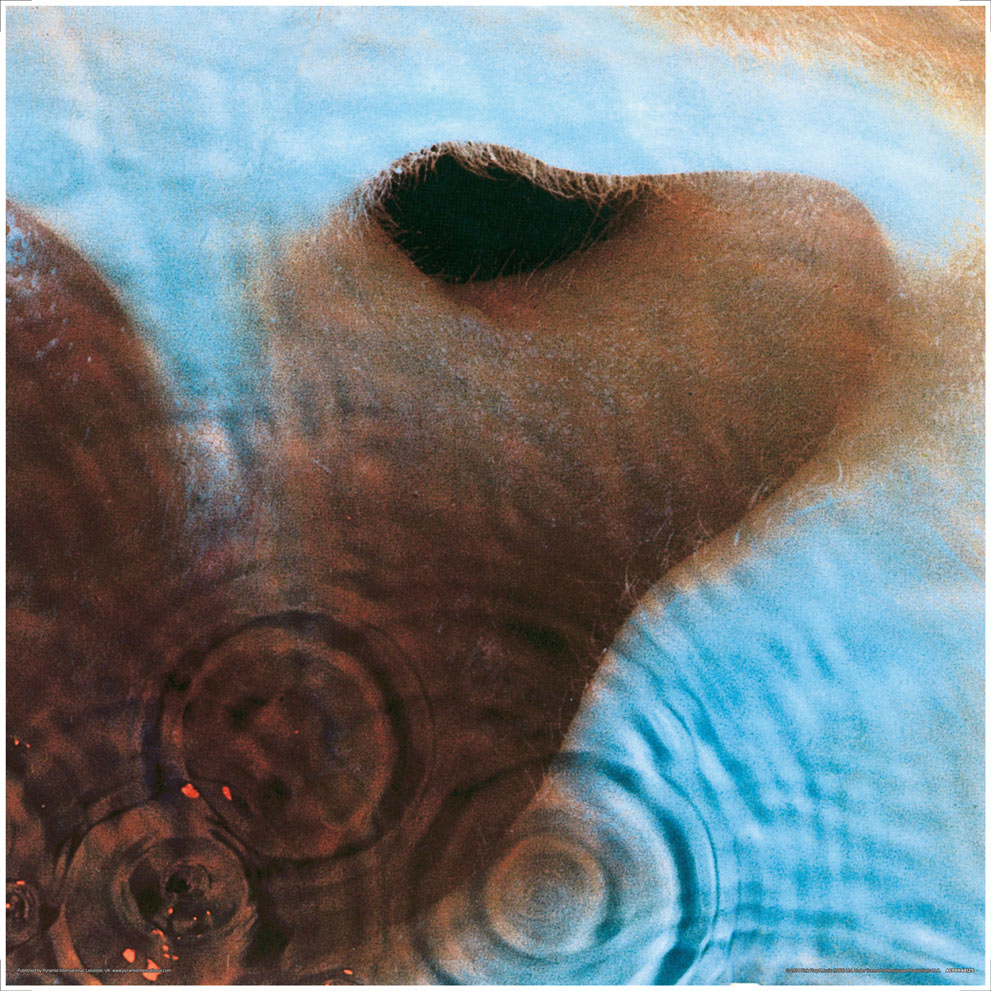 Pink Floyd (Meddle) Album Cover Framed Print