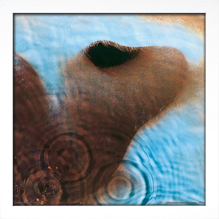 Pink Floyd (Meddle) Album Cover Framed Print