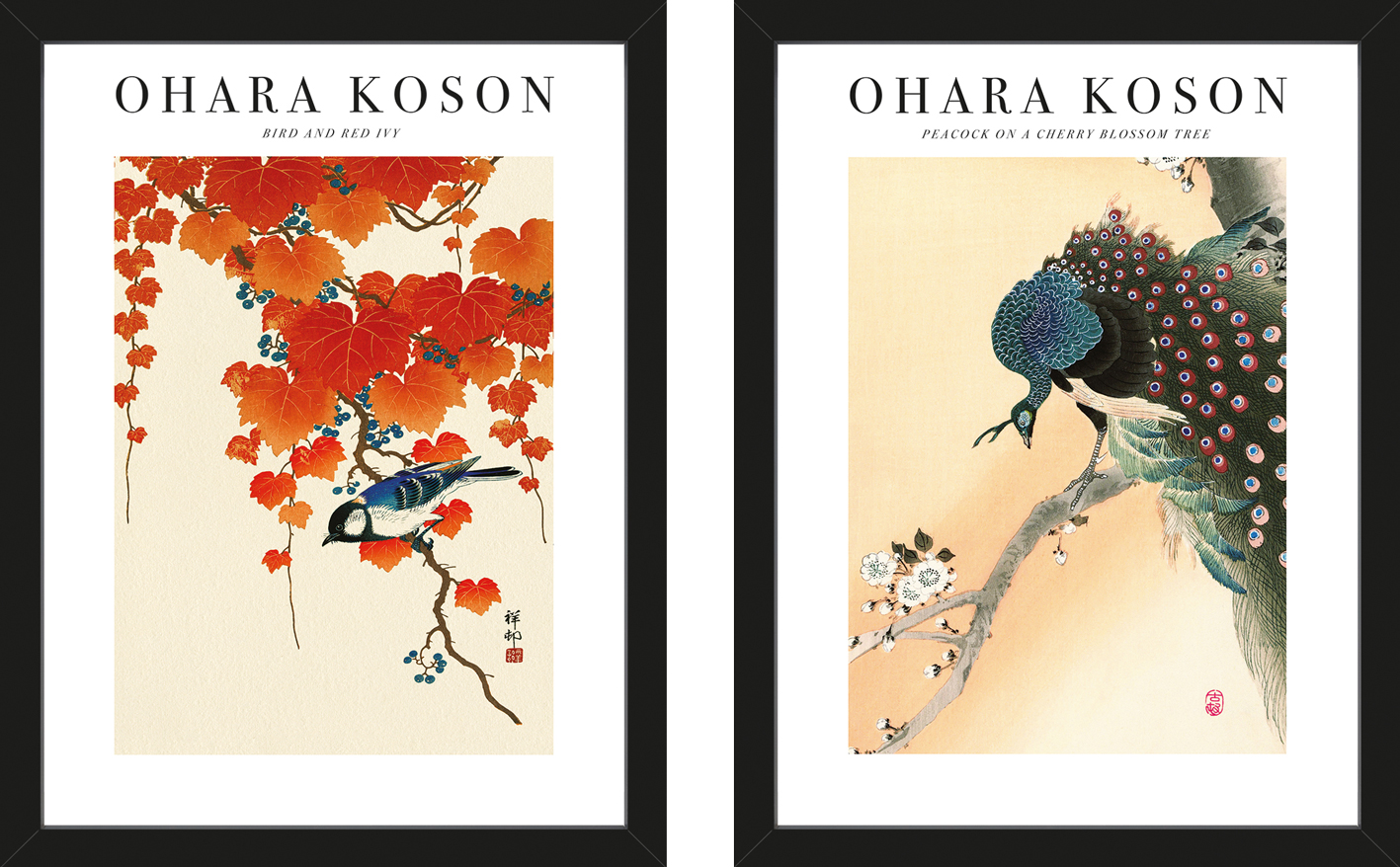 Ohara Koson (Bird And Red Ivy / Peacock On A Cherry Blossom) Black Frame Framed Print Set