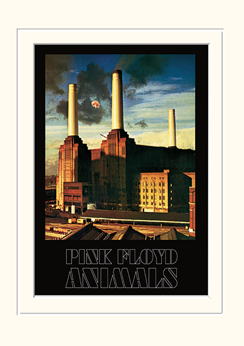 Pink Floyd (Animals) Mounted 30 x 40cm Print