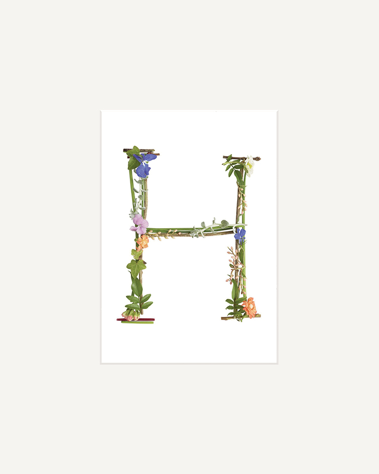 Howard Shooter (Floral H) Mounted Print