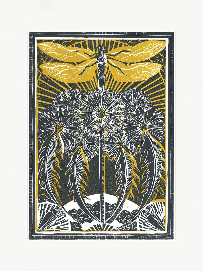 Amanda Colville (Dragonfly & Dandelions) Mounted Print