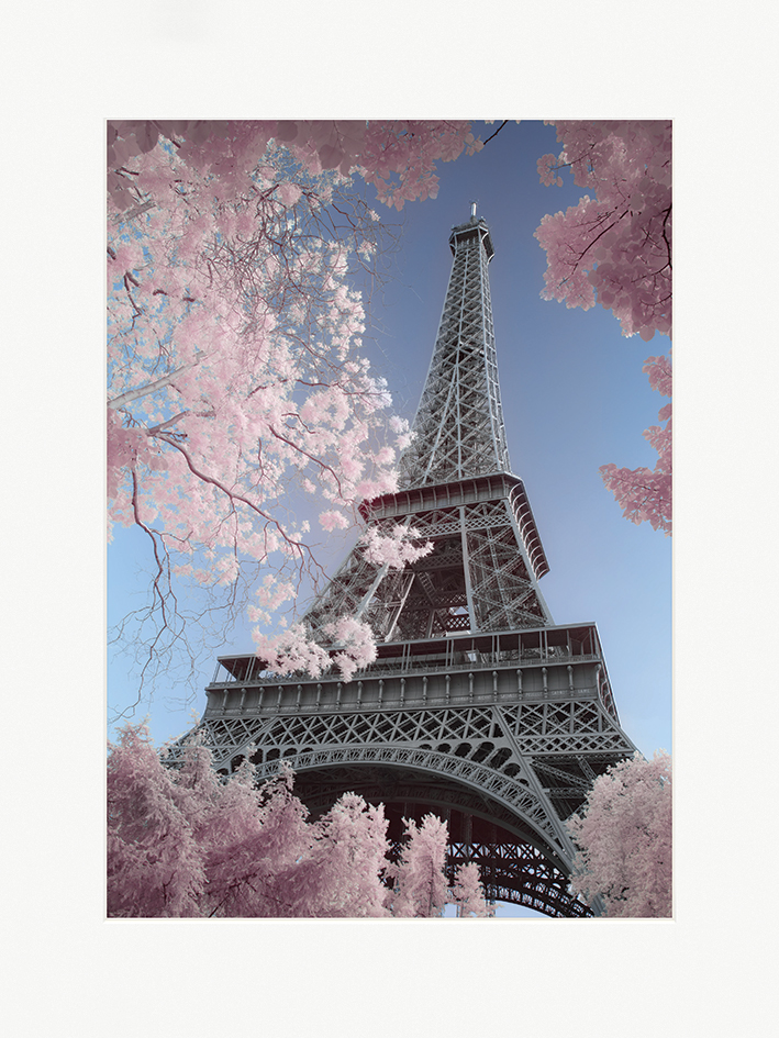 David Clapp (Eiffel Tower Infrared, Paris) Mounted Prints