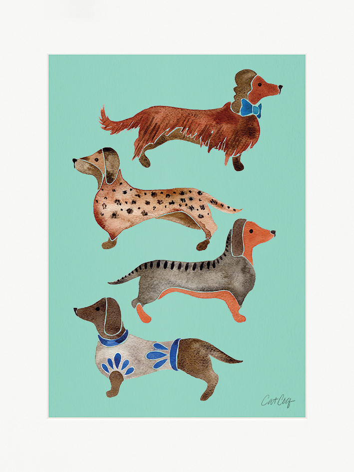 Cat Coquillette (Dachshunds) Mounted Print