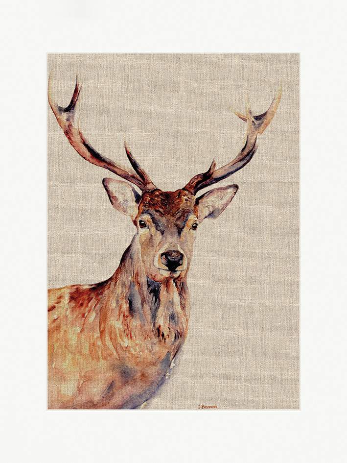 Jane Bannon (Montgomery) Mounted Prints