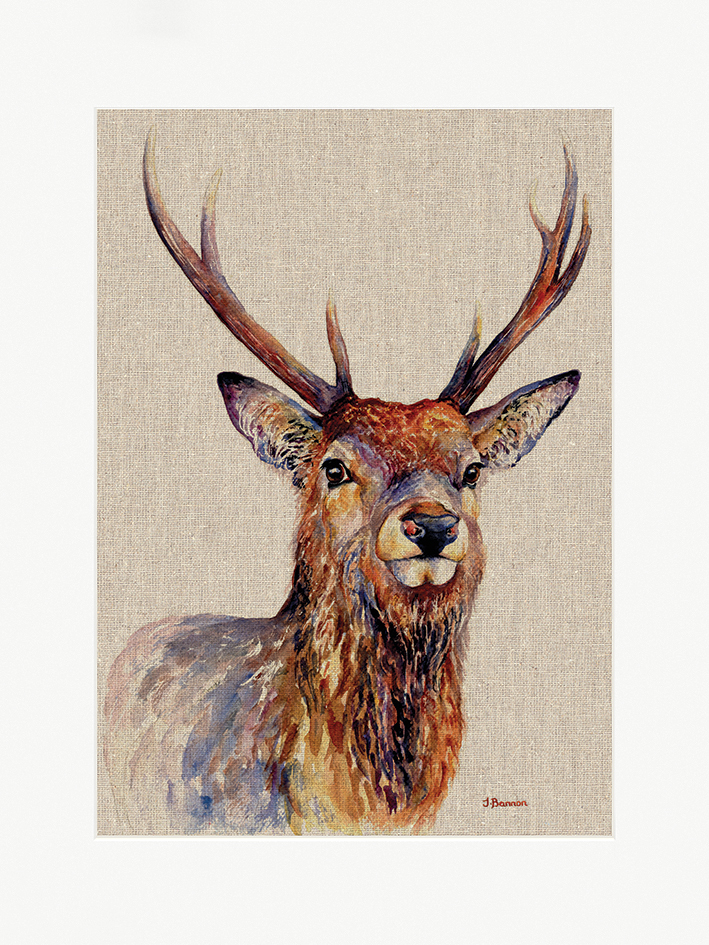 Jane Bannon (Proudlock) Mounted Prints