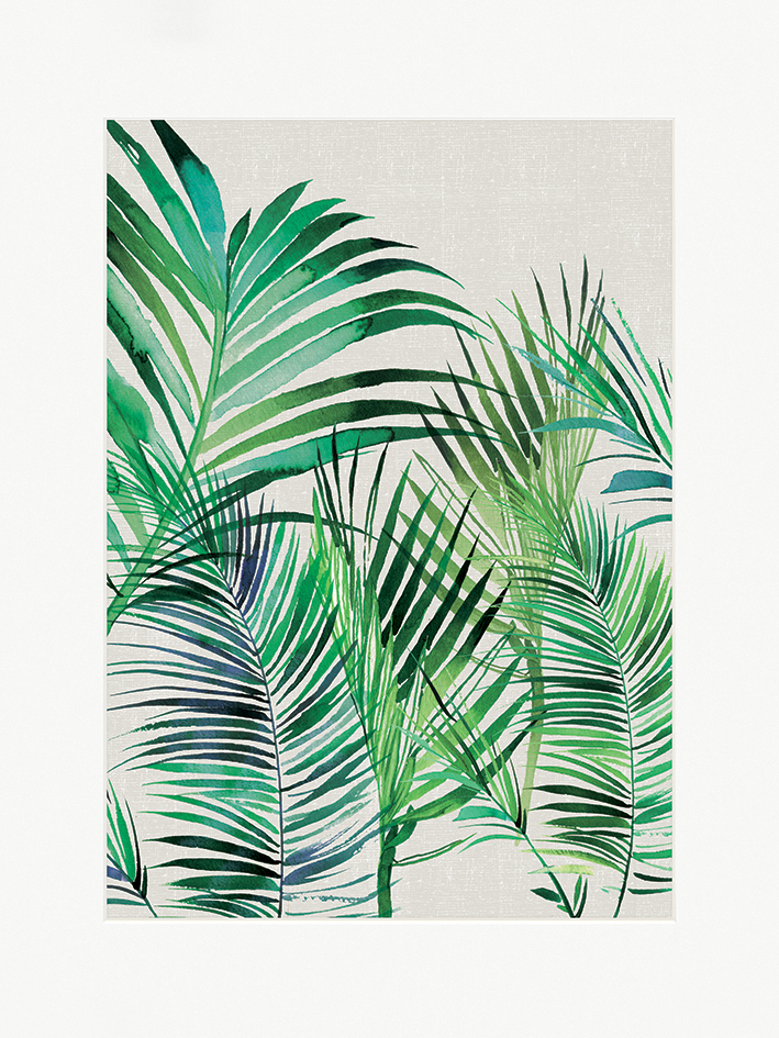 Summer Thornton (Palm Leaves) Mounted Print