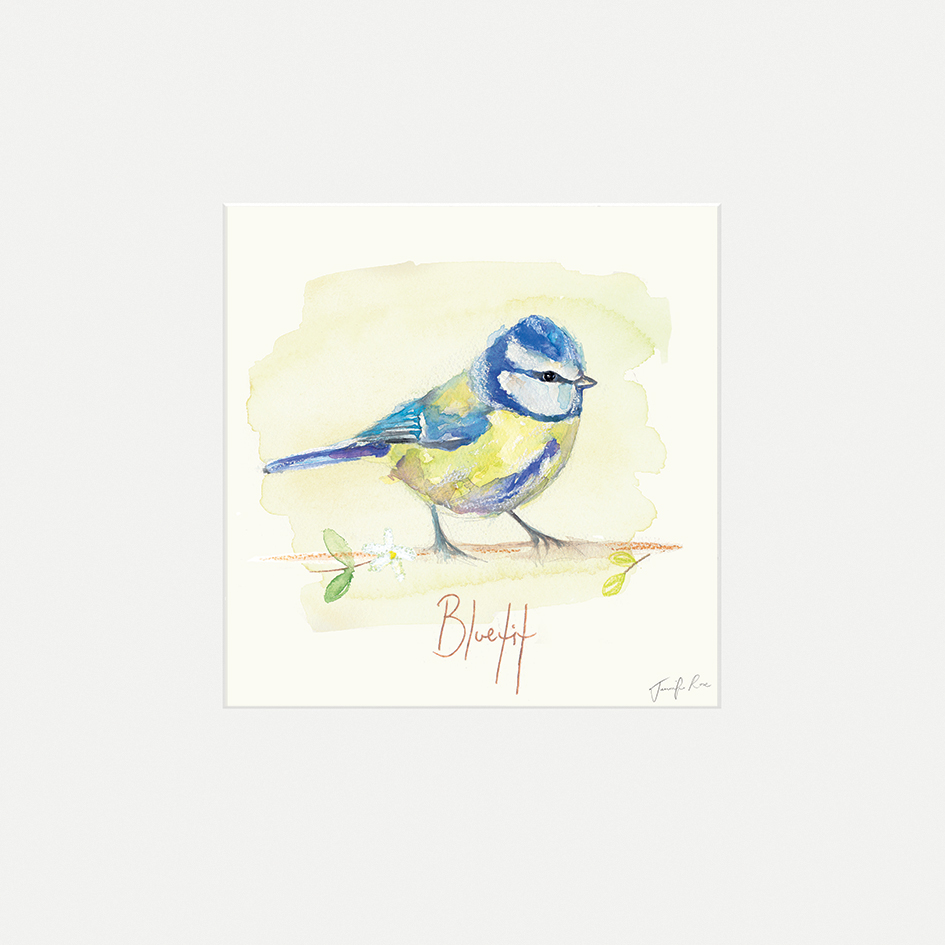 Jennifer Rose (Blue Tit) Mounted Prints