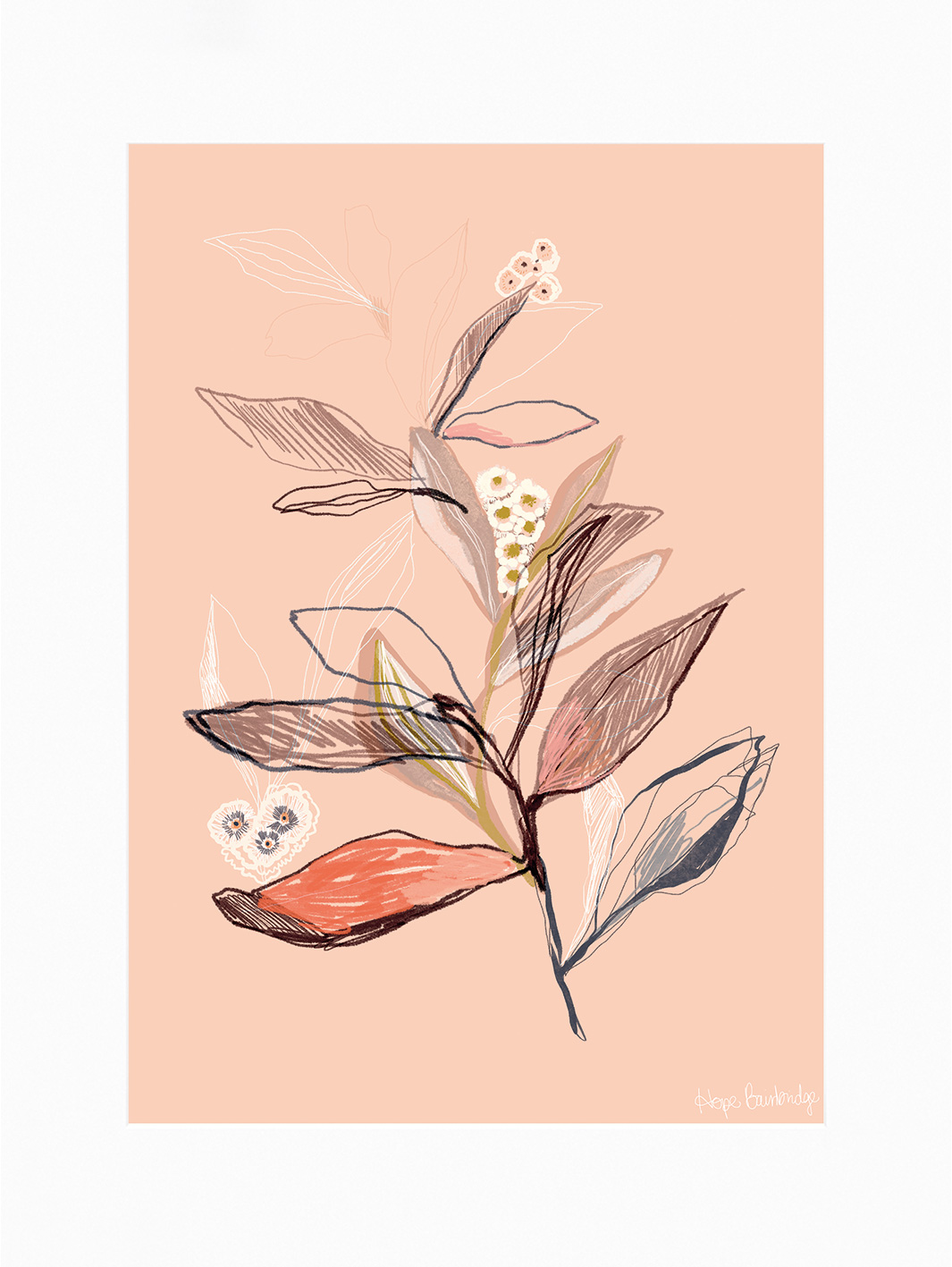 Hope Bainbridge (Floral Sketch II) Mounted Print