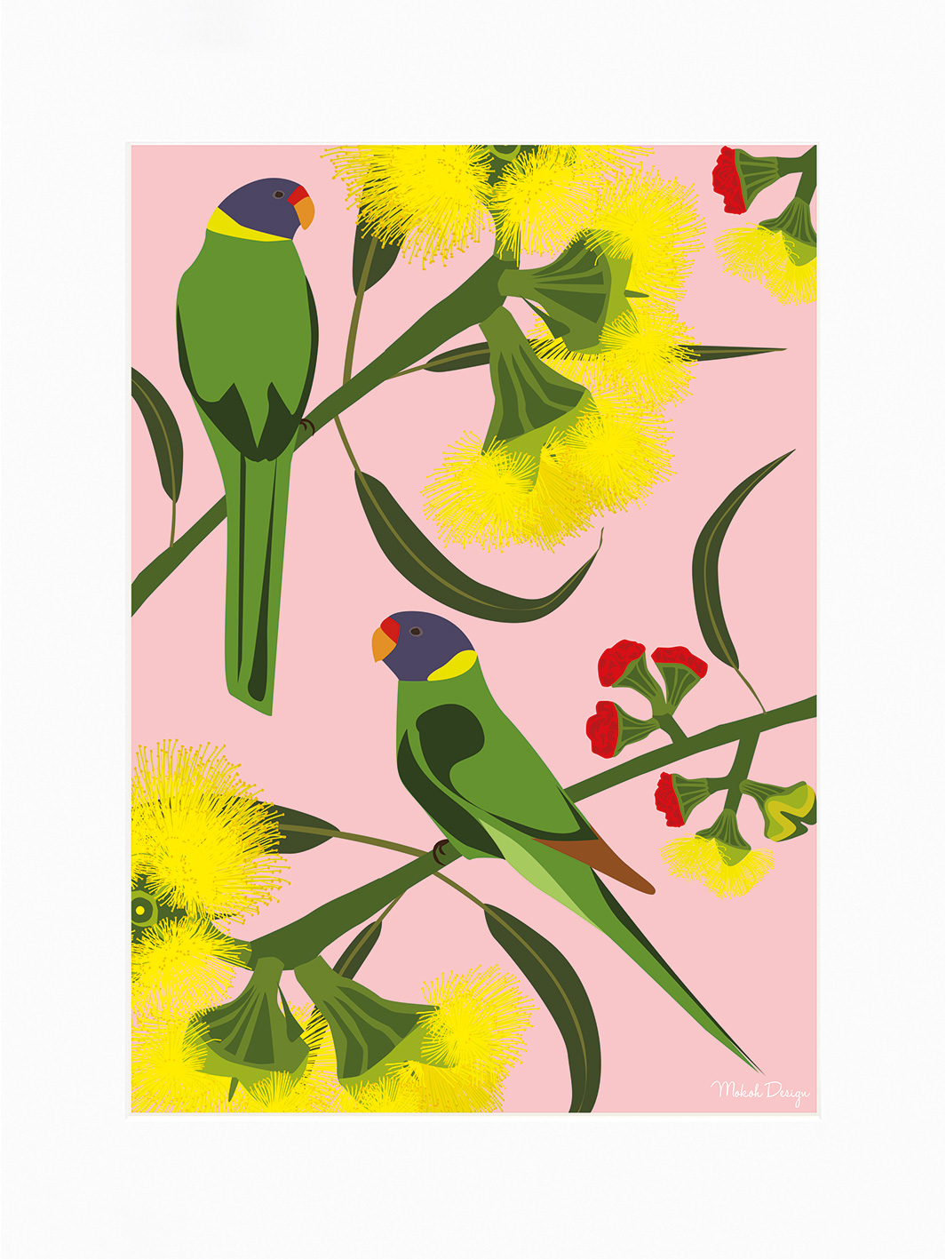 Mokoh (Ringnecks) Mounted Print