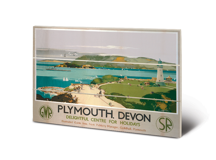 Plymouth (3) Wood Print