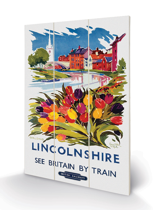 Lincolnshire (Tulips by Kenneth Steel) Wood Print