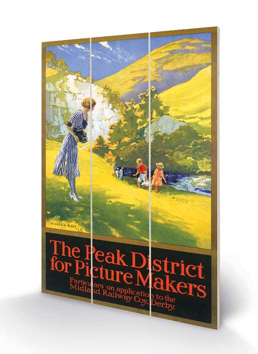 Peak District (For Picture Makers by Charles E Turner) Wood Print