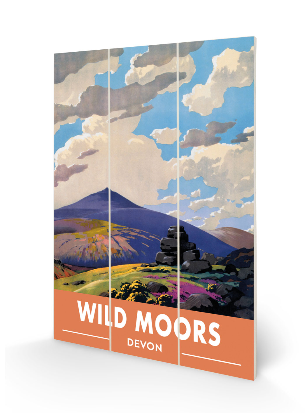 National Railway Museum (Wild Moors Devon) Wood Prints