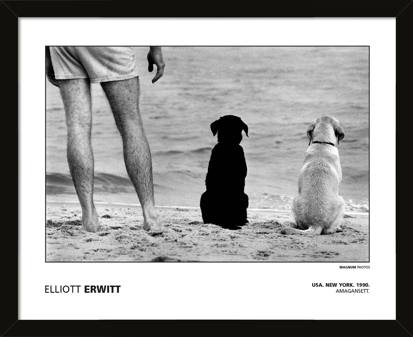 MAGNUM PHOTOS (ELLIOTT ERWITT - USA. NEW YORK. 1990. AMAGANSETT.) Pre-Framed Art Posters