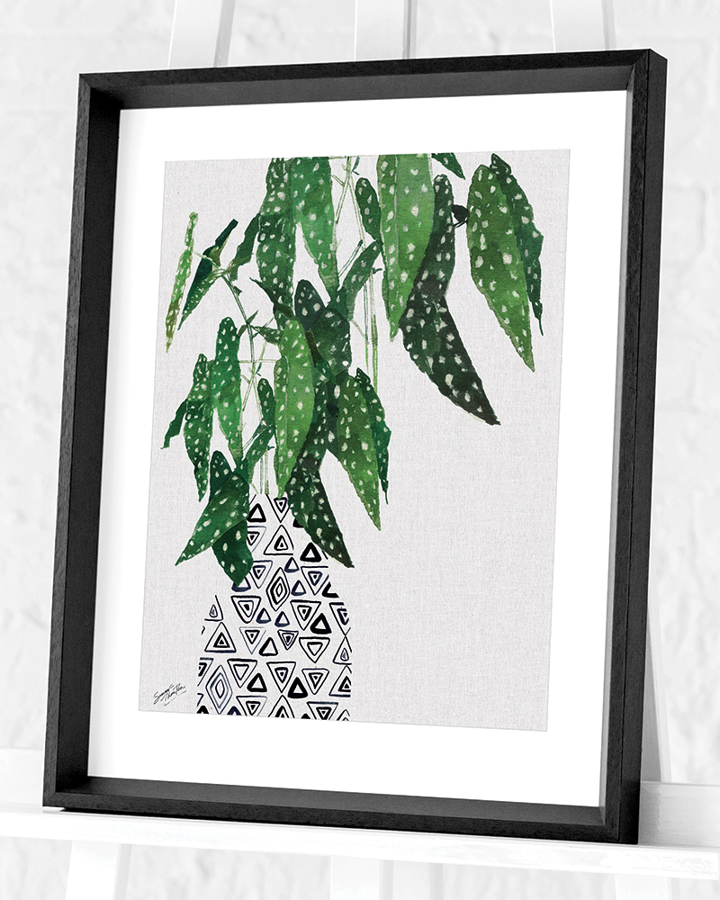 Summer Thornton (Polka Dot Begonia Plant) Pre-Framed Art Prints