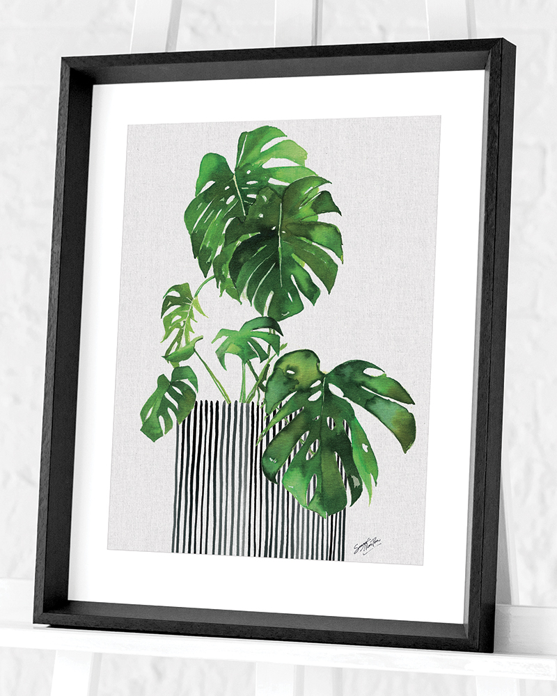 Summer Thornton (Swiss Cheese Plant) Pre-Framed Art Print | The Art Group