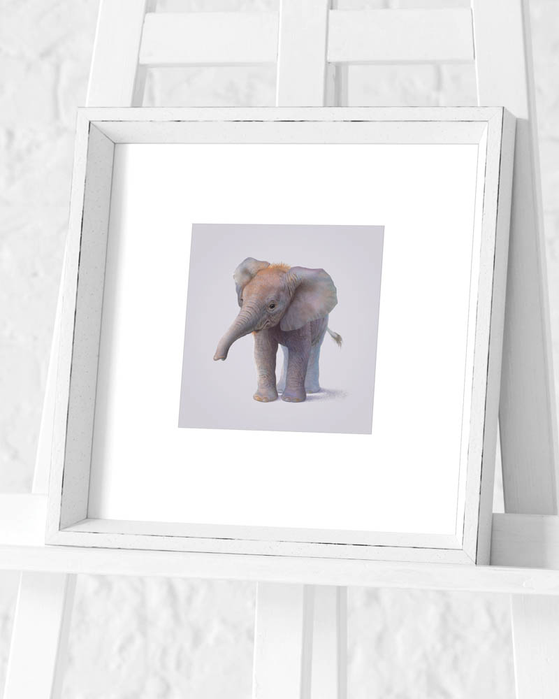 John Butler (Elephant) Pre-Framed Art Print