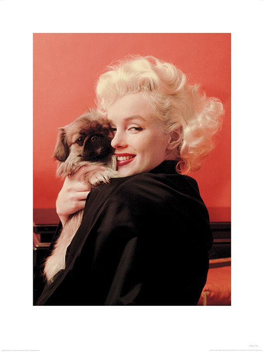 Marilyn Monroe (Love) Art Prints