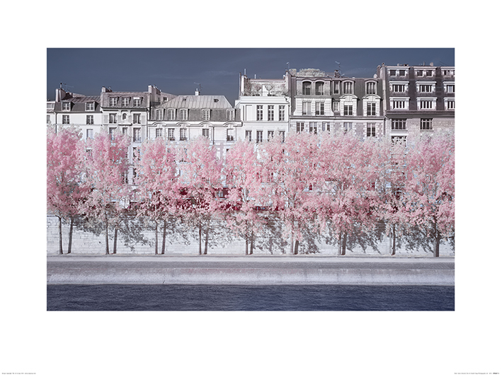 David Clapp (River Seine Infrared, Paris) Art Print