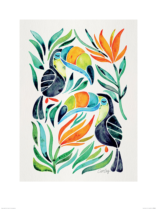 Cat Coquillette (Tropical Toucans) Art Prints
