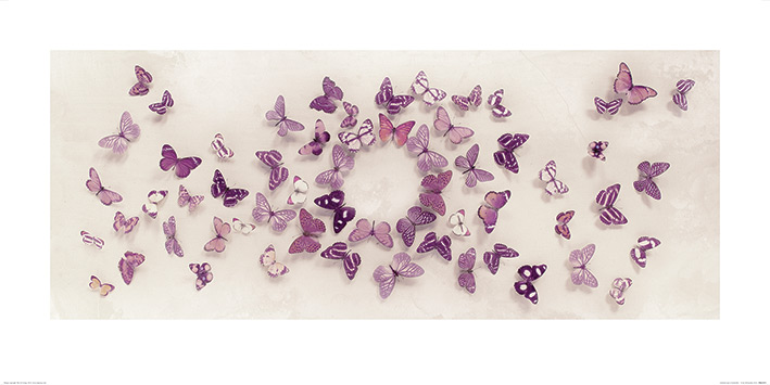 Ian Winstanley (Kaleidoscope of Butterflies) Art Print