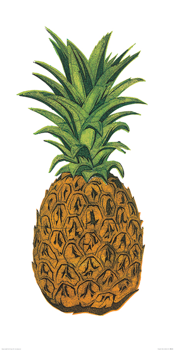 Barry Goodman (Pineapple) Art Print