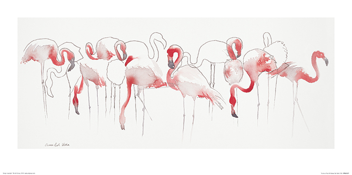 Aimee Del Valle (Toute en Rose) Art Prints