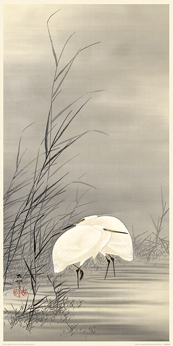 Ohara Koson (Egrets in a Swamp) Art Prints