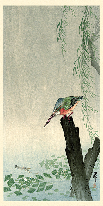 Ohara Koson (Kingfisher) Art Prints