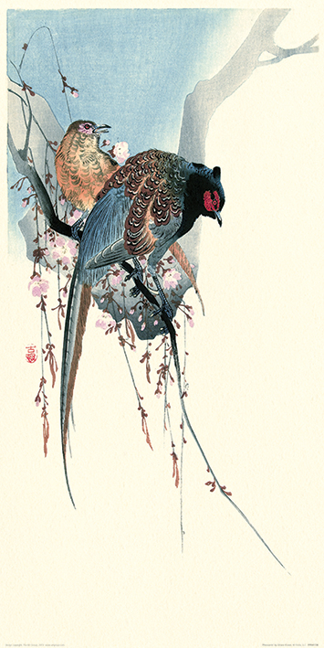 Ohara Koson (Pheasants) Art Prints
