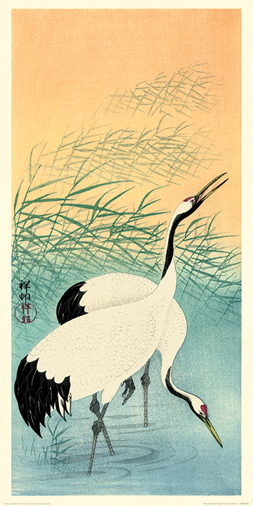 Ohara Koson (Two Cranes) Art Prints