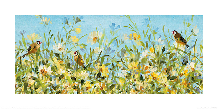 Pink Floyd ACPPR48123 Ummagumma Framed Classic Album Sleeve Memorabilia, Multi-Colour,12-Inch