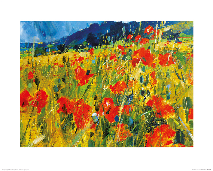 Chris Forsey (South Downs Poppies) Art Print