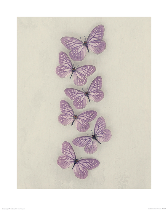 Ian Winstanley (Lilac Butterflies) Art Print The Art Group