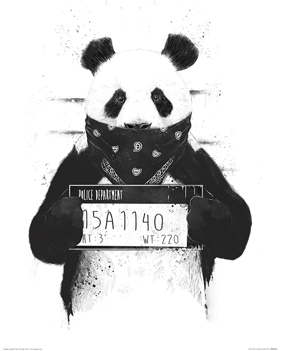 Balazs Solti (Bad Panda) Art Print