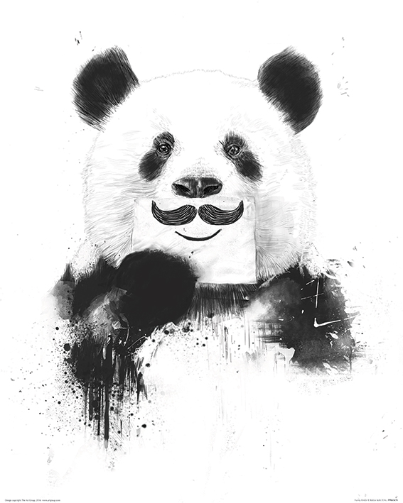 Balazs Solti (Funny Panda) Art Print