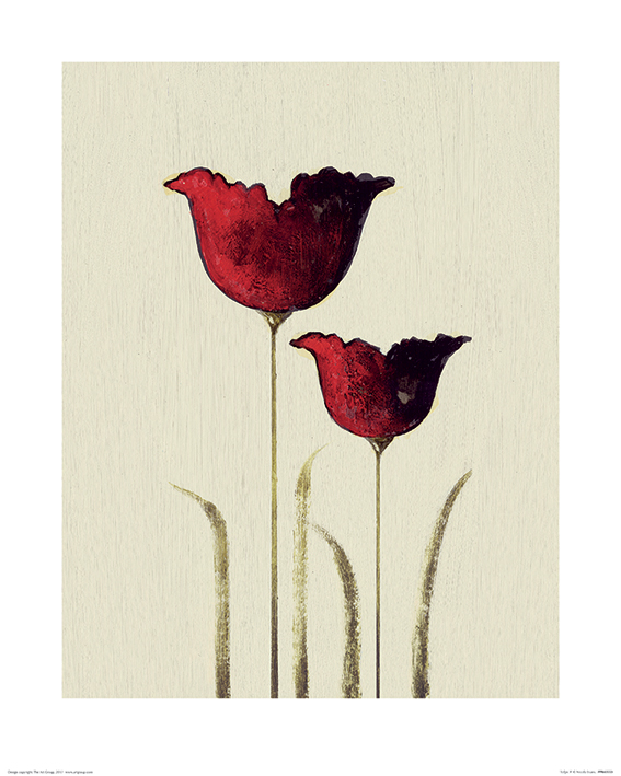 Nicola Evans (Tulips II) Art Prints