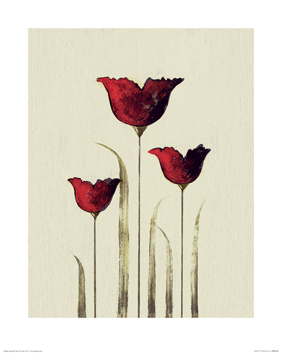 Nicola Evans (Tulips III) Art Prints
