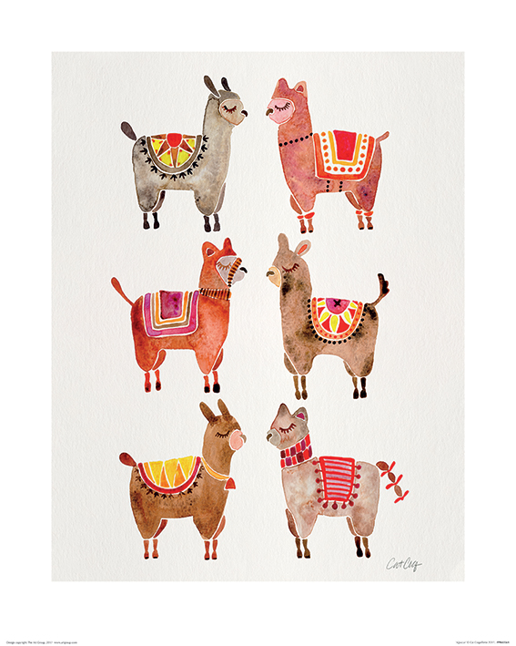Cat Coquillette (Alpacas) Art Prints