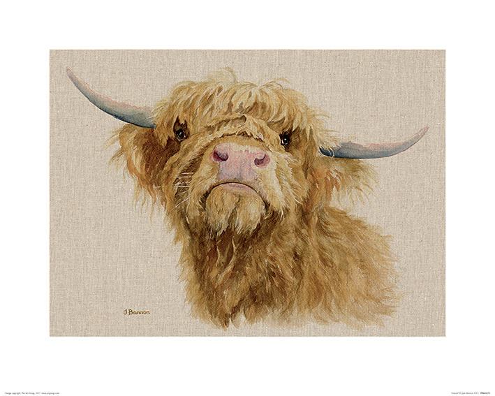 Jane Bannon (Donald) Art Prints