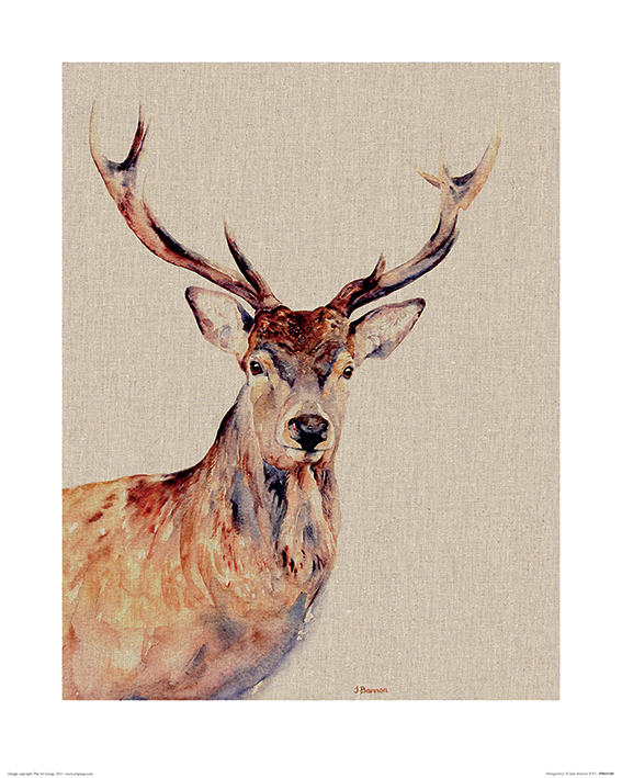 Jane Bannon (Montgomery) Art Prints