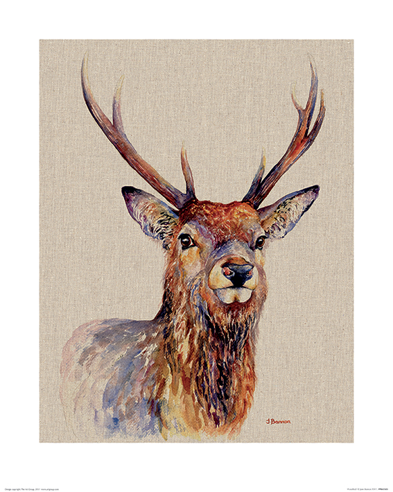 Jane Bannon (Proudlock) Art Prints