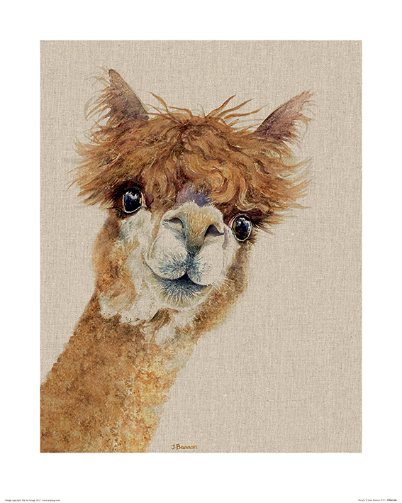 Jane Bannon (Wendy) Art Prints