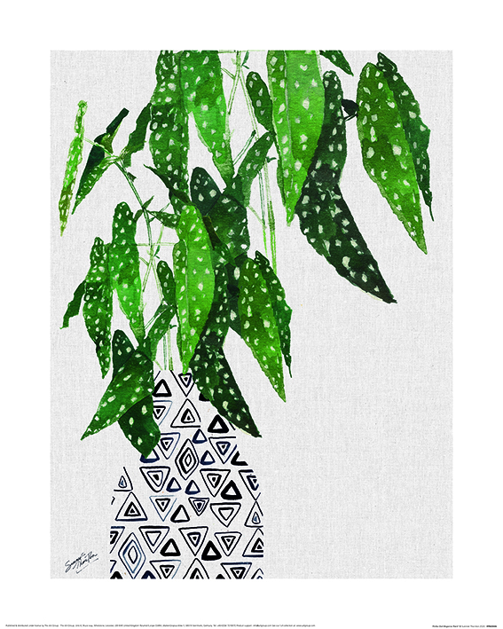 wall art watercolor plant art print botanical art fixer upper style plant painting boho style decor polka dot begonia polka dot plant
